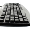 Large Image 1