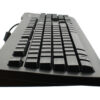 Large Image 1